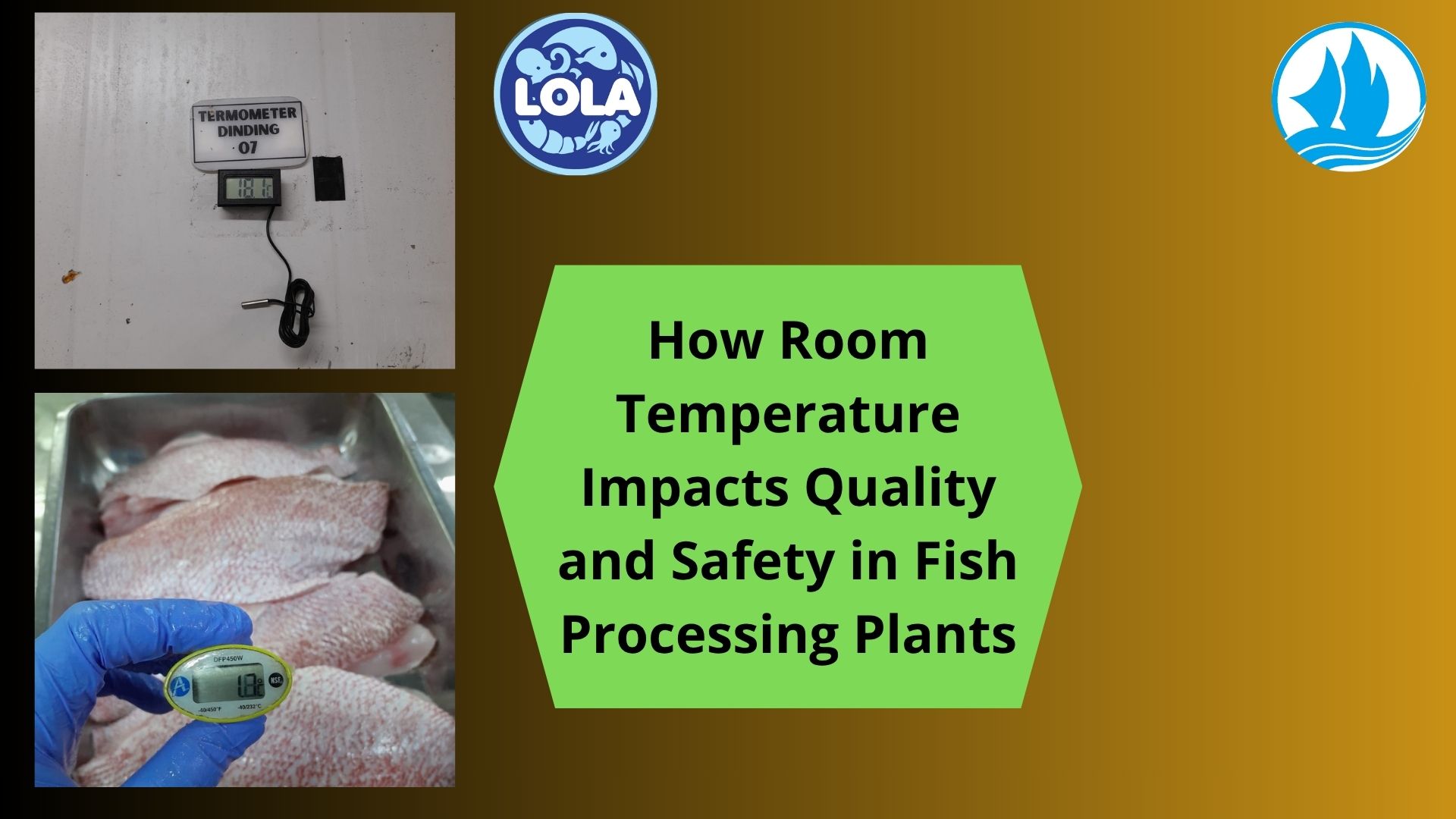  How Room Temperature Impacts Quality and Safety in Fish Processing Plants